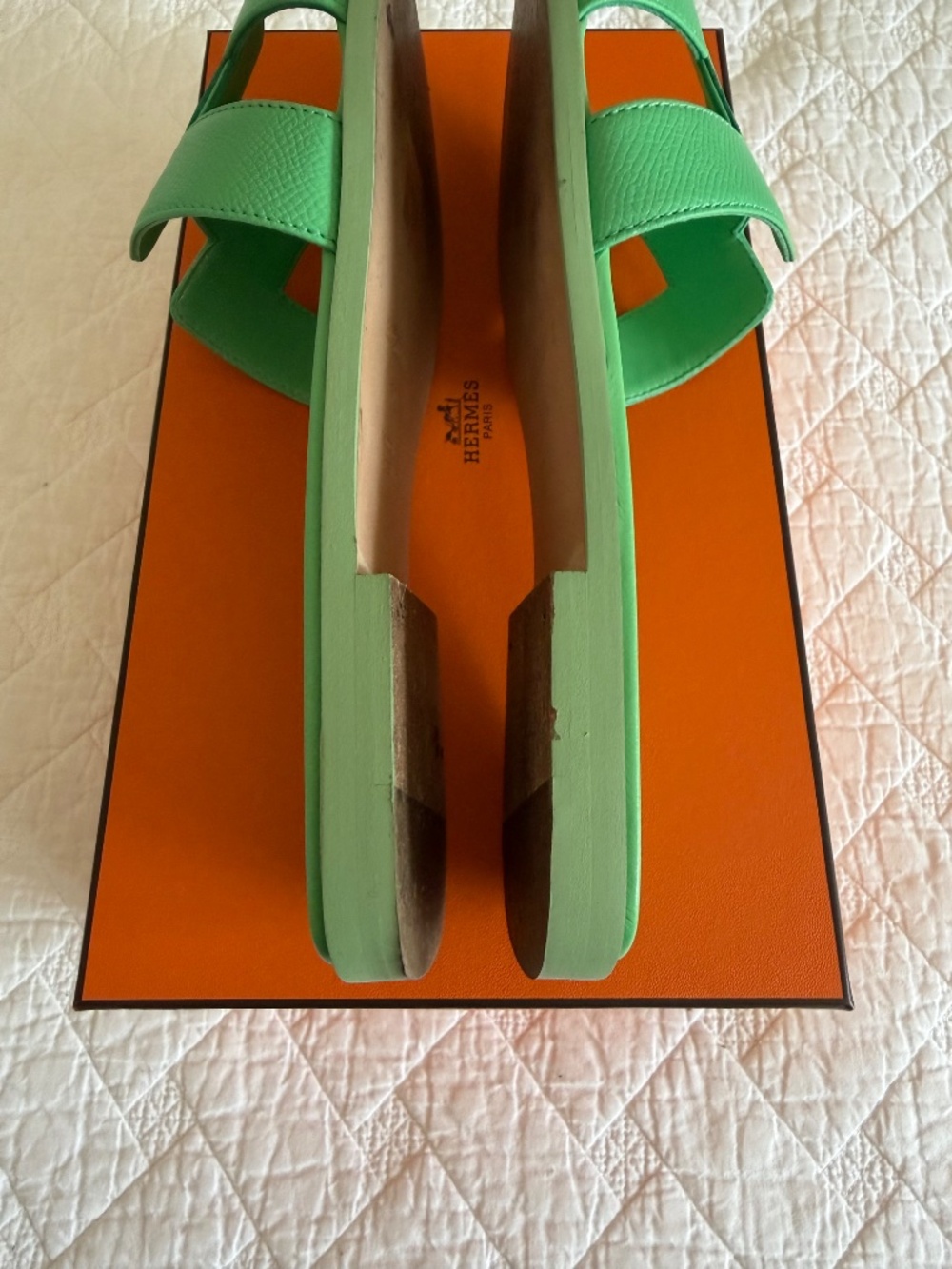 Hermes Orans - Picture 6 of 10